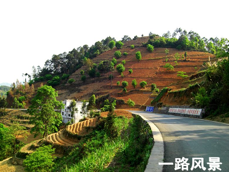 CIMG5306_conew1.jpg