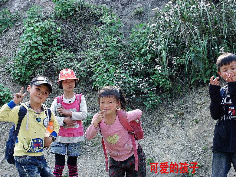 CIMG5338_conew1.jpg