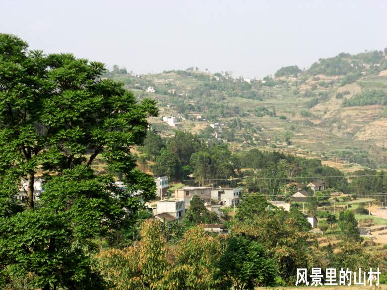 CIMG5344_conew1.jpg