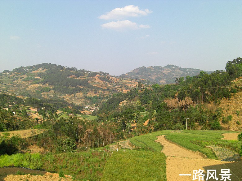 CIMG5346_conew1.jpg