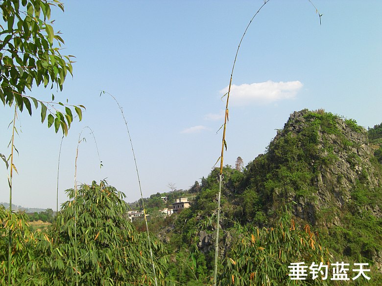CIMG5348_conew1.jpg