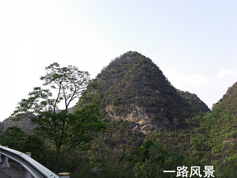 CIMG5352_conew1.jpg