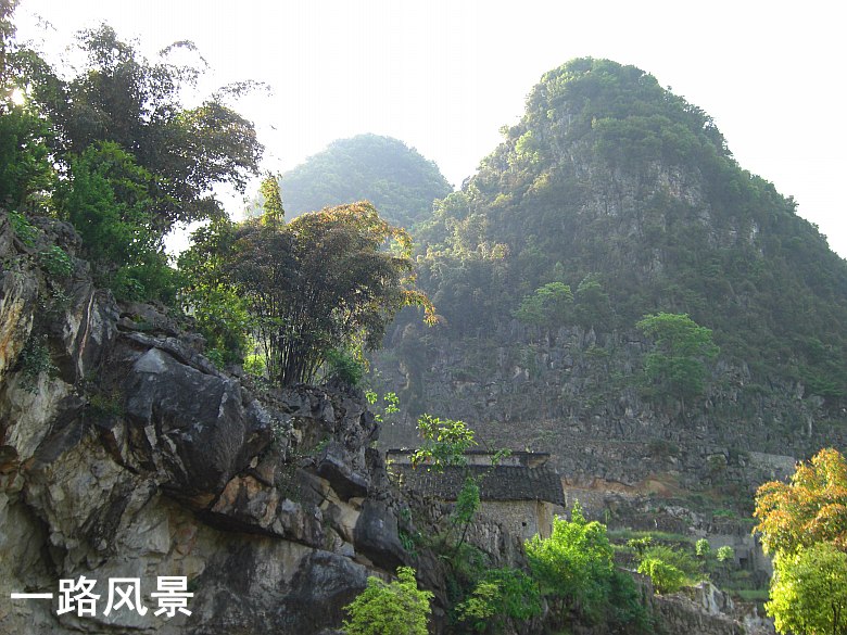 CIMG5354_conew1.jpg
