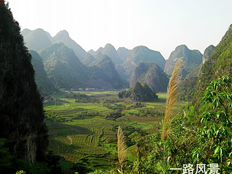 CIMG5362_conew1.jpg