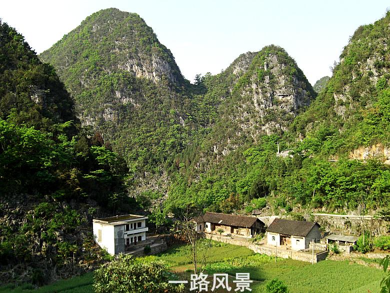 CIMG5366_conew1.jpg
