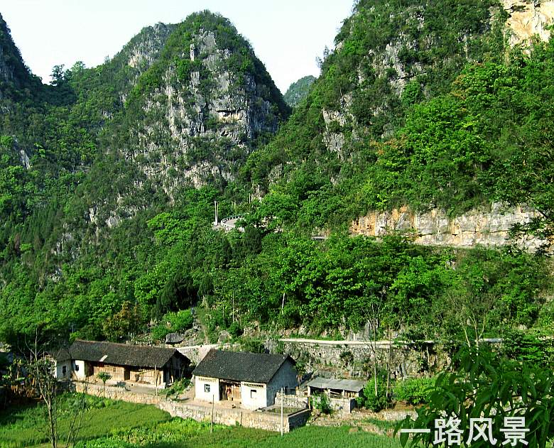 CIMG5367_conew1.jpg
