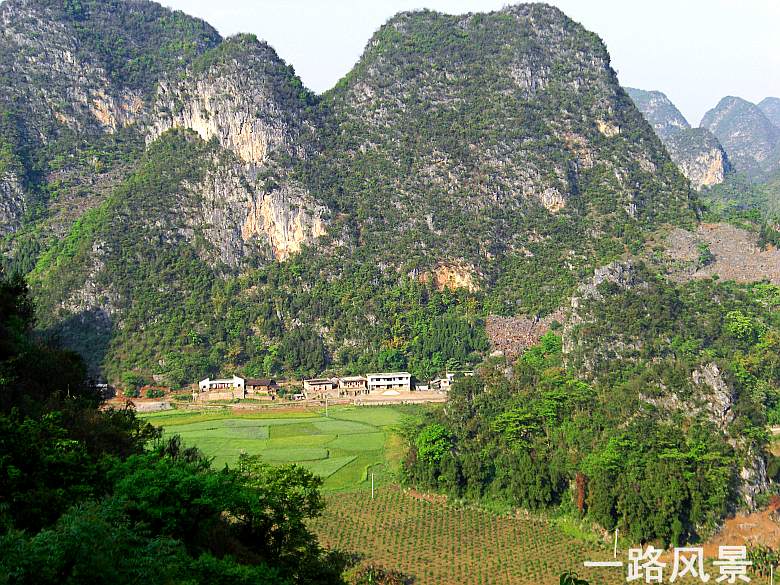CIMG5377_conew1.jpg