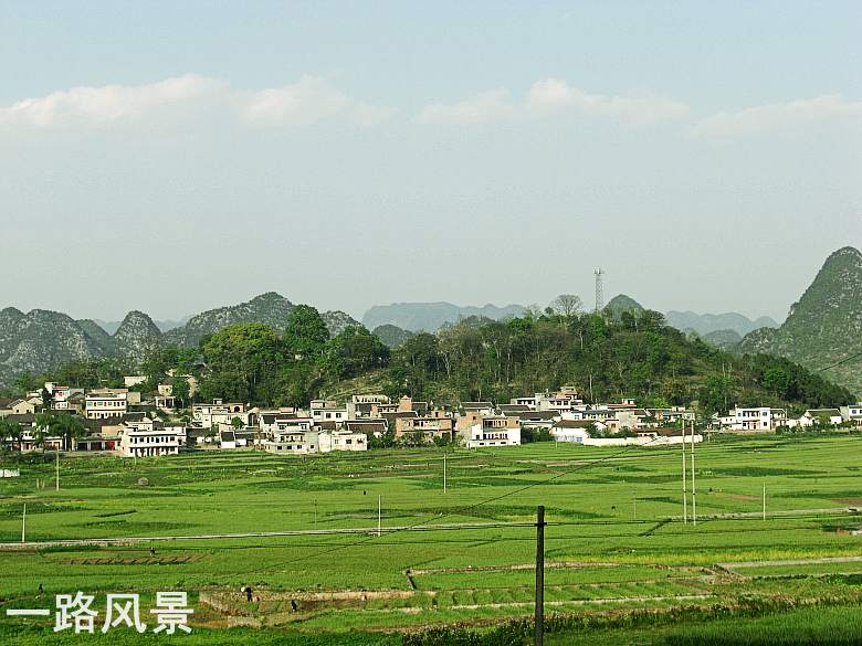 CIMG5384_conew1.jpg