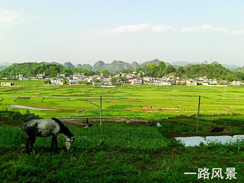 CIMG5385_conew1.jpg