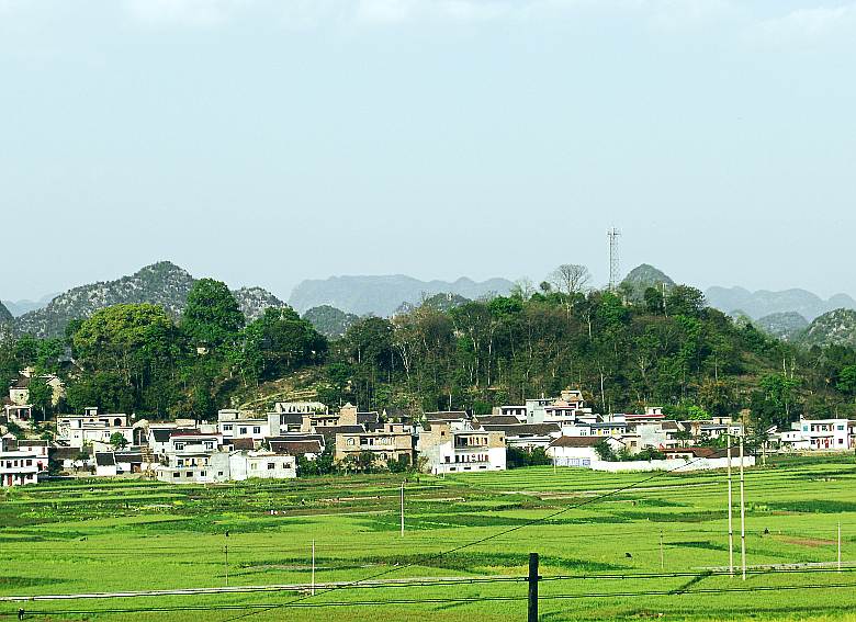 CIMG5386_conew1.jpg