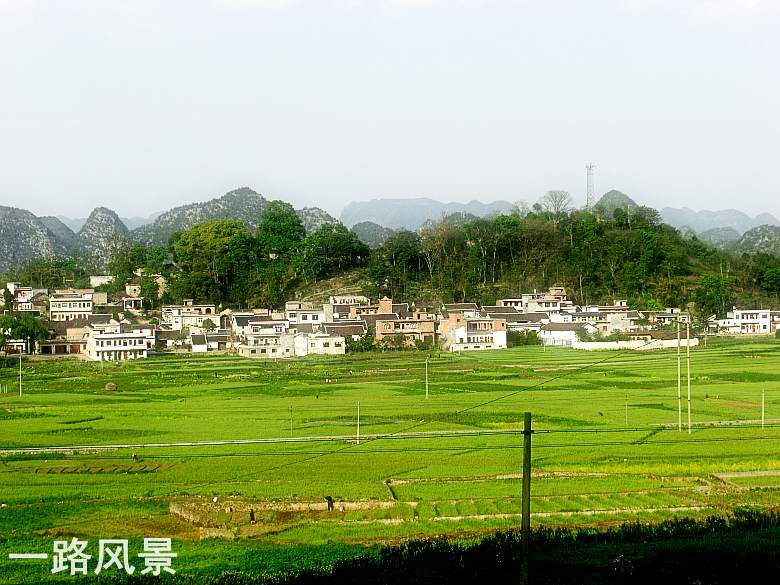 CIMG5387_conew1.jpg