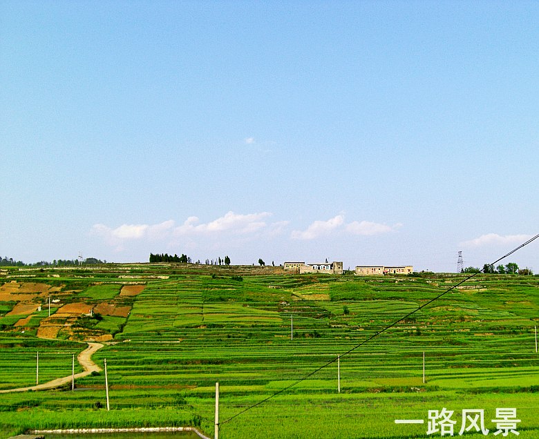 CIMG5388_conew1.jpg