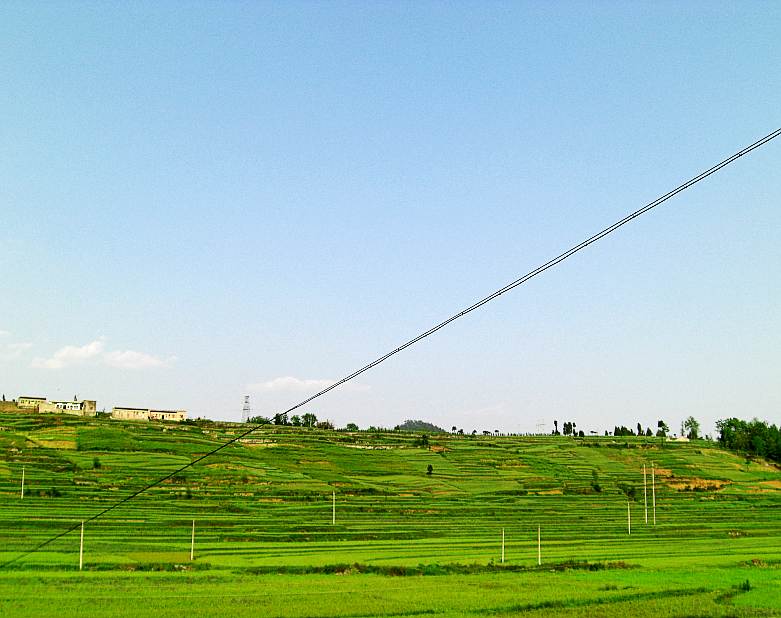 CIMG5389_conew1.jpg