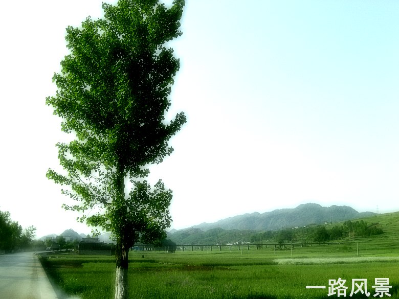 CIMG5392_conew1.jpg