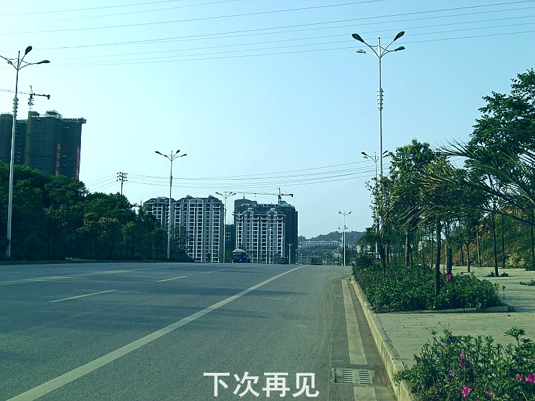 CIMG5407_conew1.jpg