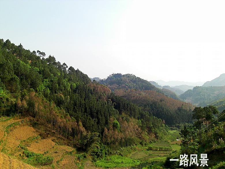 CIMG5317_conew1.jpg