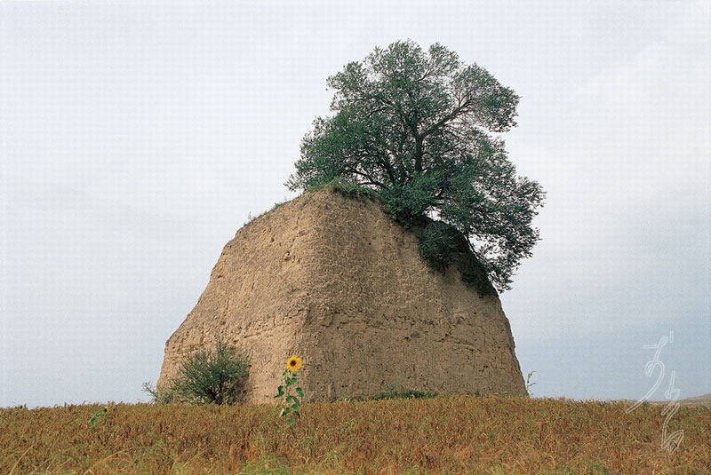20060730222254ix.jpg
