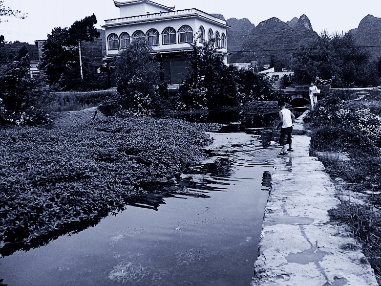 CIMG5543_conew1.jpg