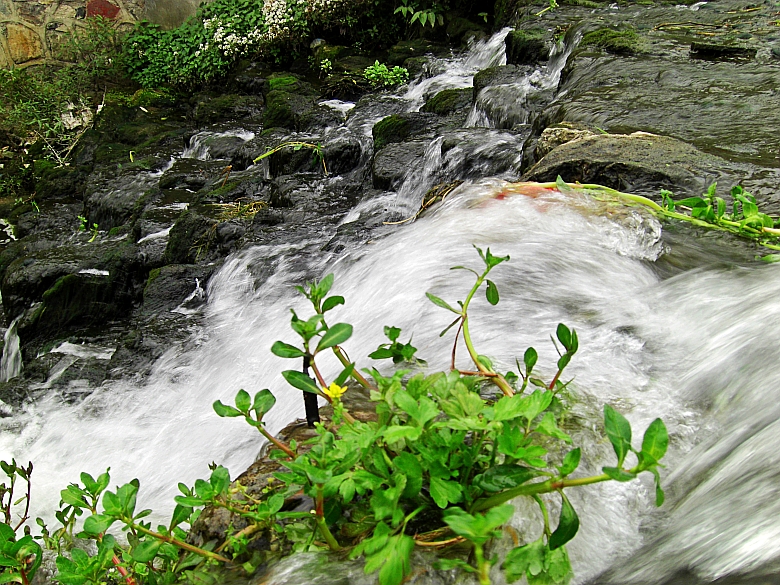 CIMG5541_conew1.jpg