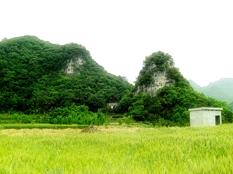 CIMG5545_conew1.jpg