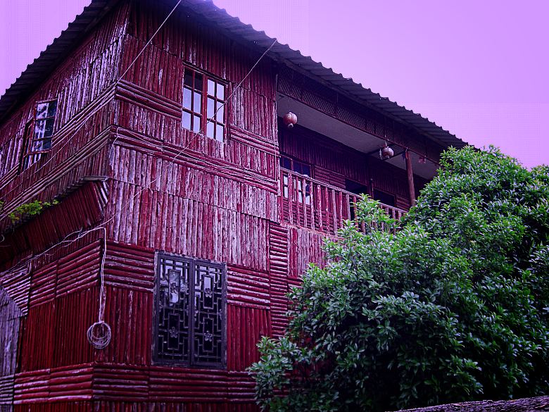 CIMG5618_conew1.jpg