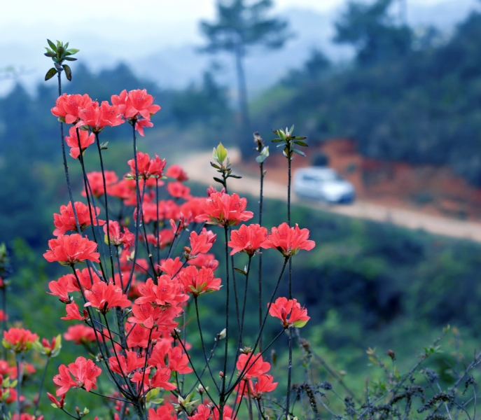 _MG_1291a.jpg