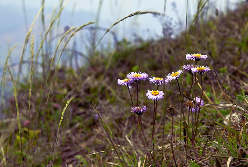 _MG_1359a.jpg