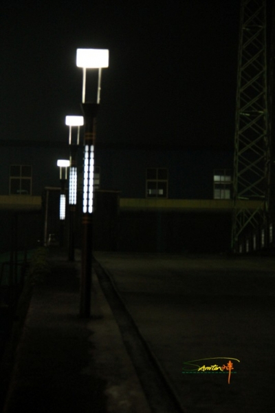 L-10.jpg