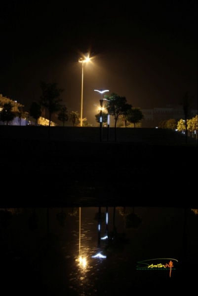 L-9.jpg