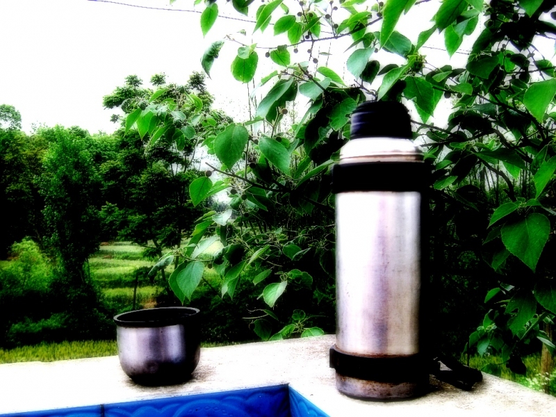 CIMG5836_conew1.jpg