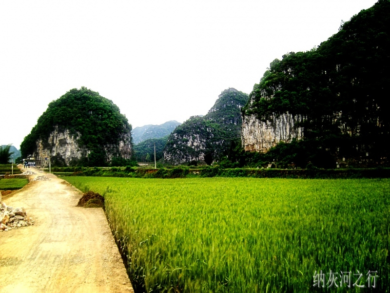 CIMG5852_conew1.jpg