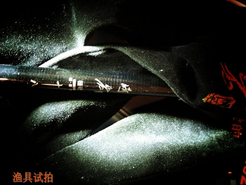 CIMG5886_conew1.jpg