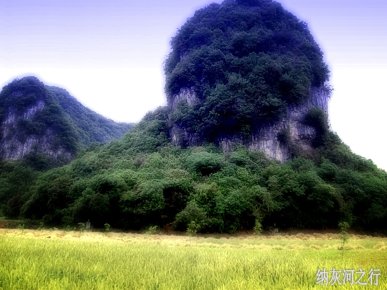 CIMG5847_conew1.jpg