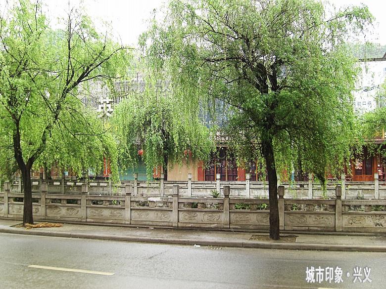 CIMG5713_conew1.jpg