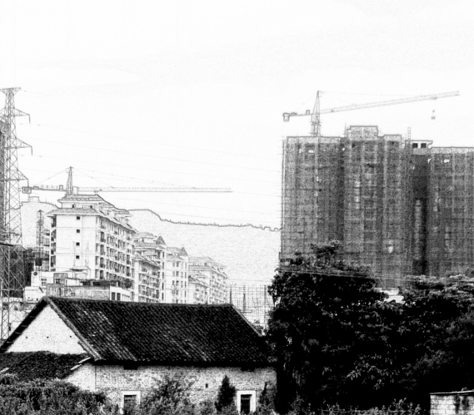 CIMG6029_conew1.jpg