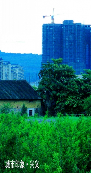 CIMG6031_conew1.jpg
