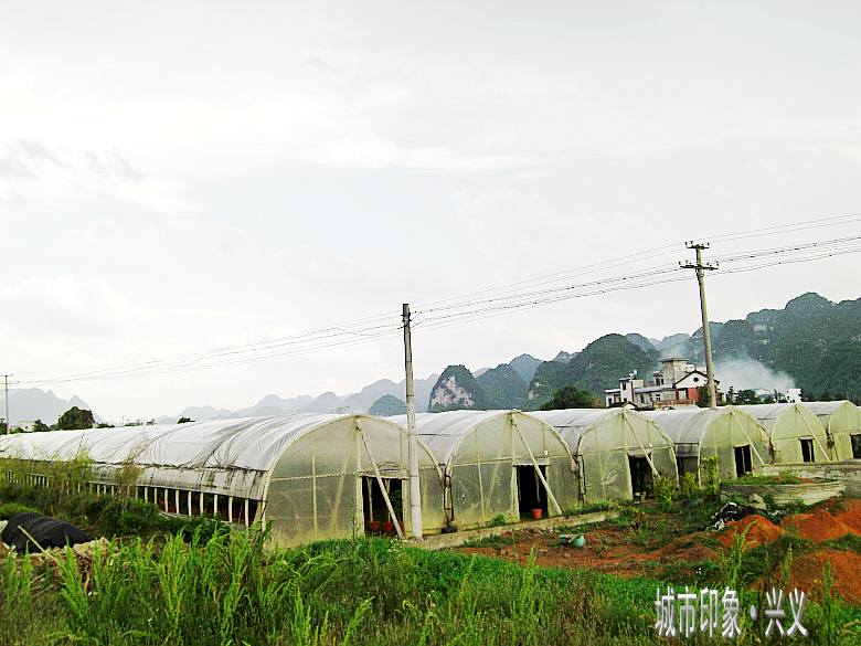 CIMG6051_conew1.jpg