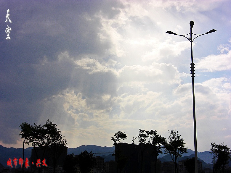 CIMG6087_conew1.jpg