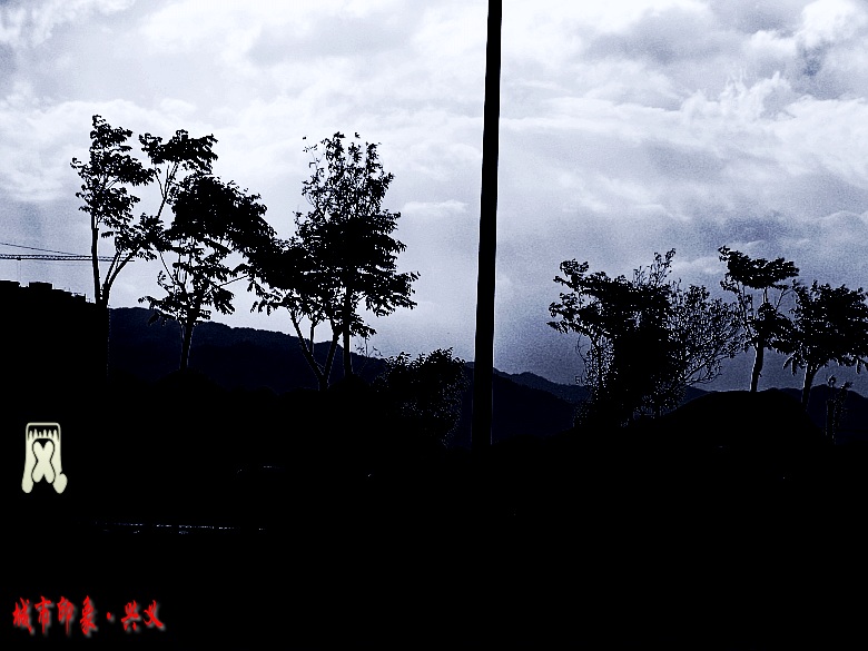 CIMG6091_conew1.jpg