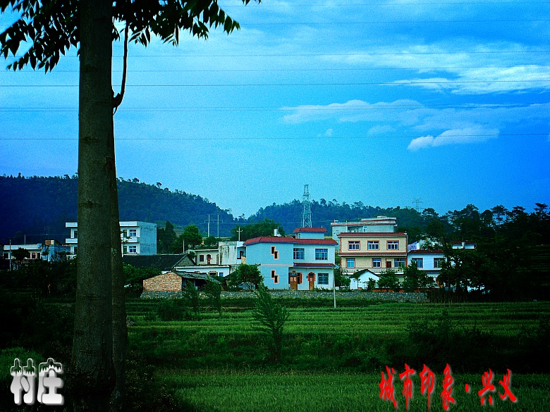CIMG6092_conew1.jpg