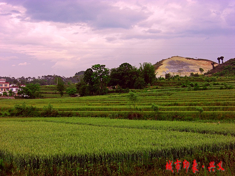 CIMG6095_conew1.jpg