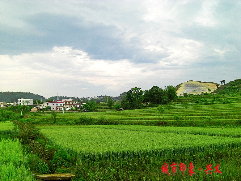 CIMG6096_conew1.jpg