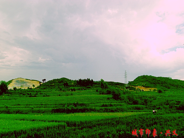 CIMG6097_conew1.jpg