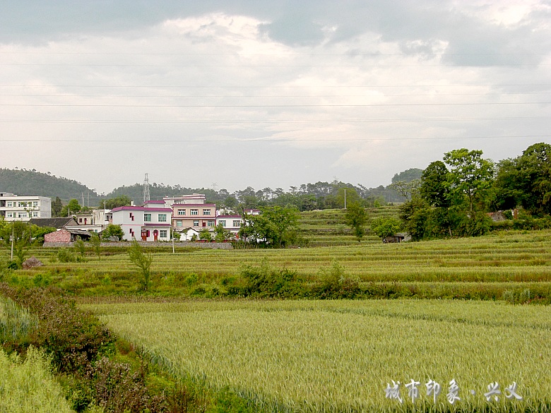 CIMG6100_conew1.jpg