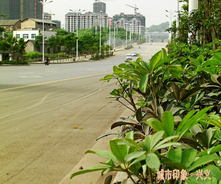 CIMG6116_conew1.jpg
