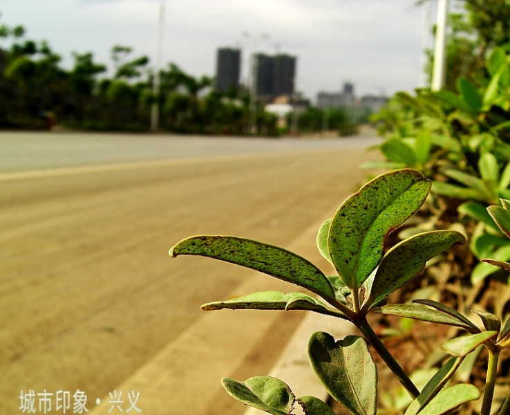 CIMG6119_conew1.jpg