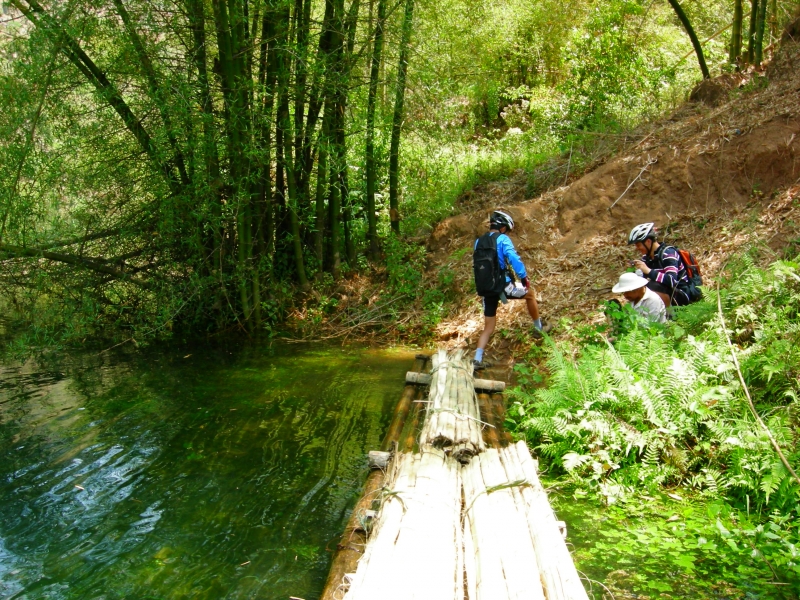 DSCN3719.JPG