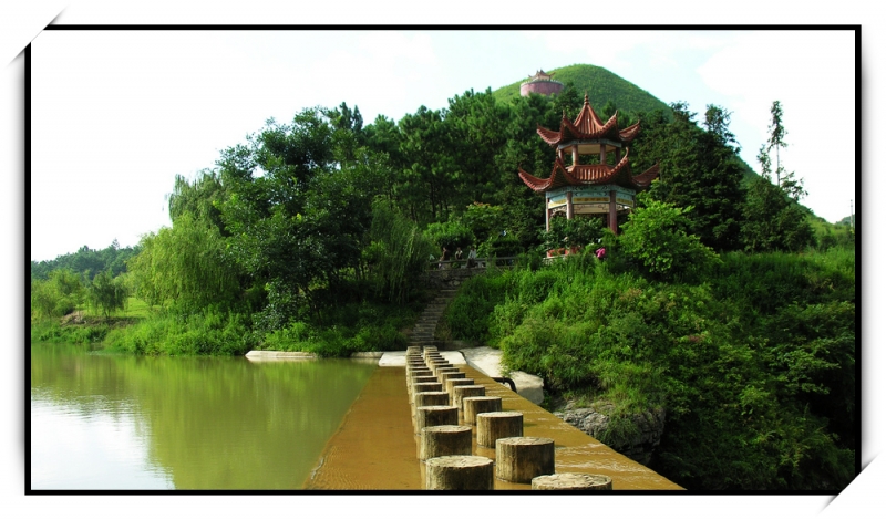 20050719.jpg