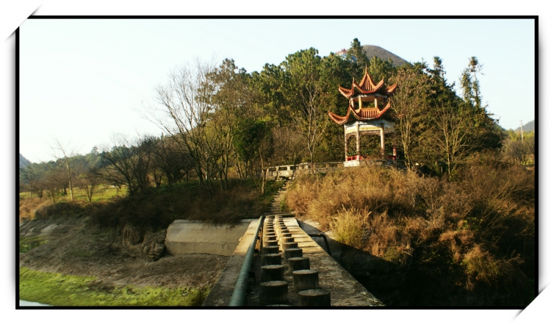 20110204.jpg