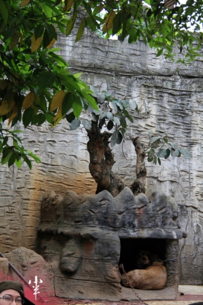 20110505-8.jpg
